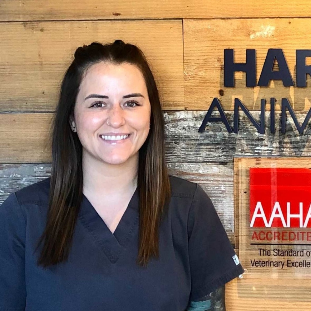 Ashlee is a Veterinary Assistant