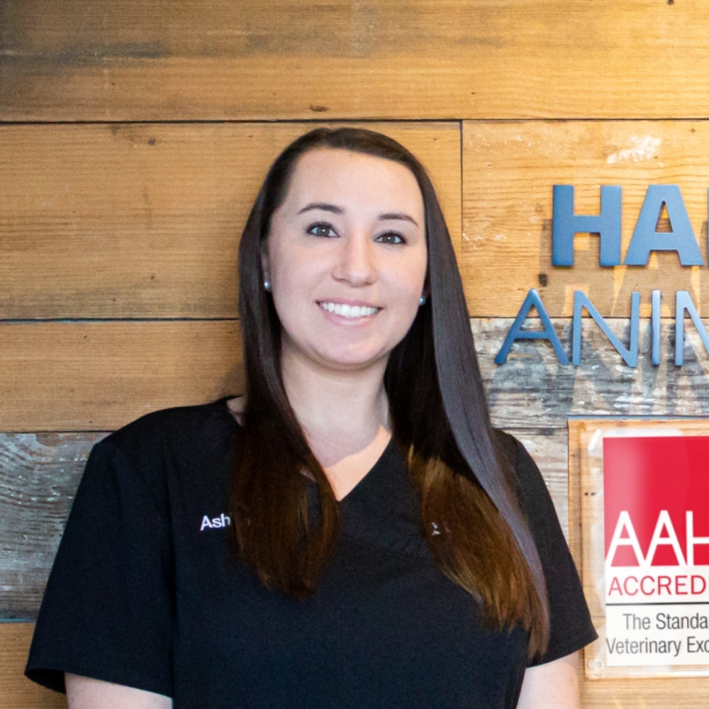 Ashley is an Inventory & Training Manager