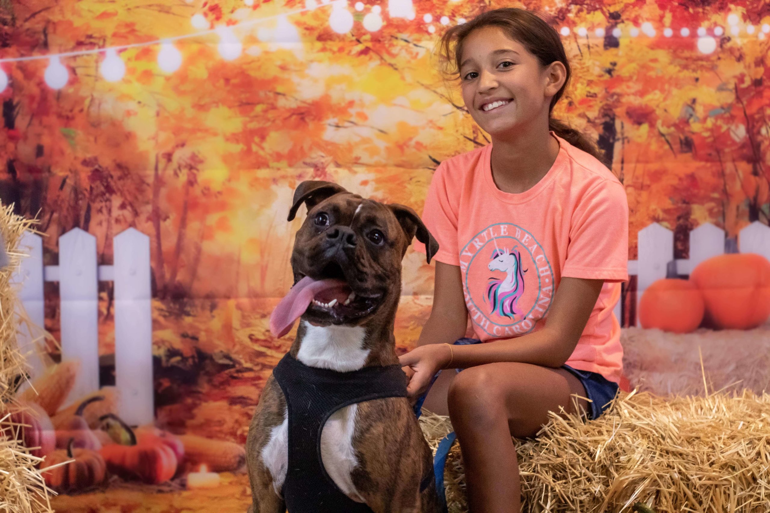 girl with boxer dog sitting on hay