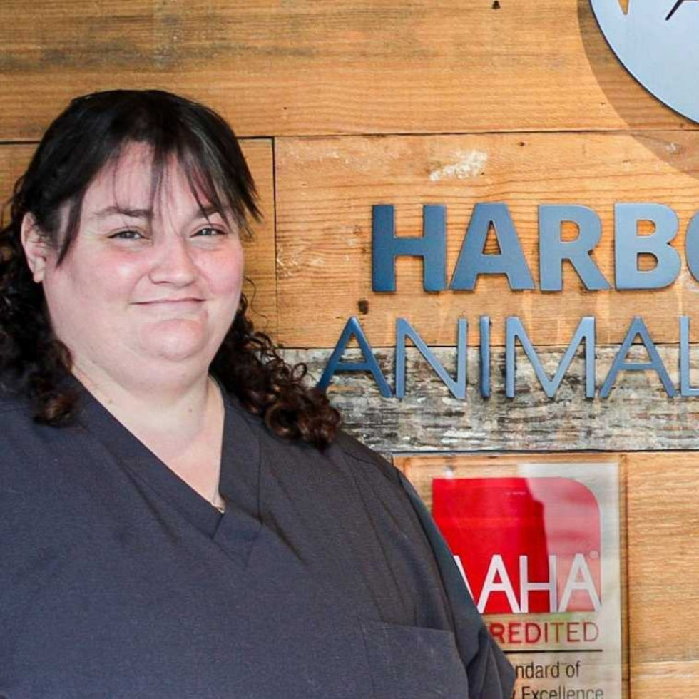 Veterinarian in Mooresville, NC | Harbor Point AH