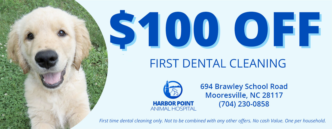 coupon-dental-cleaning