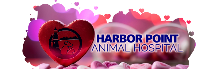 Harbor Point Animal Hospital