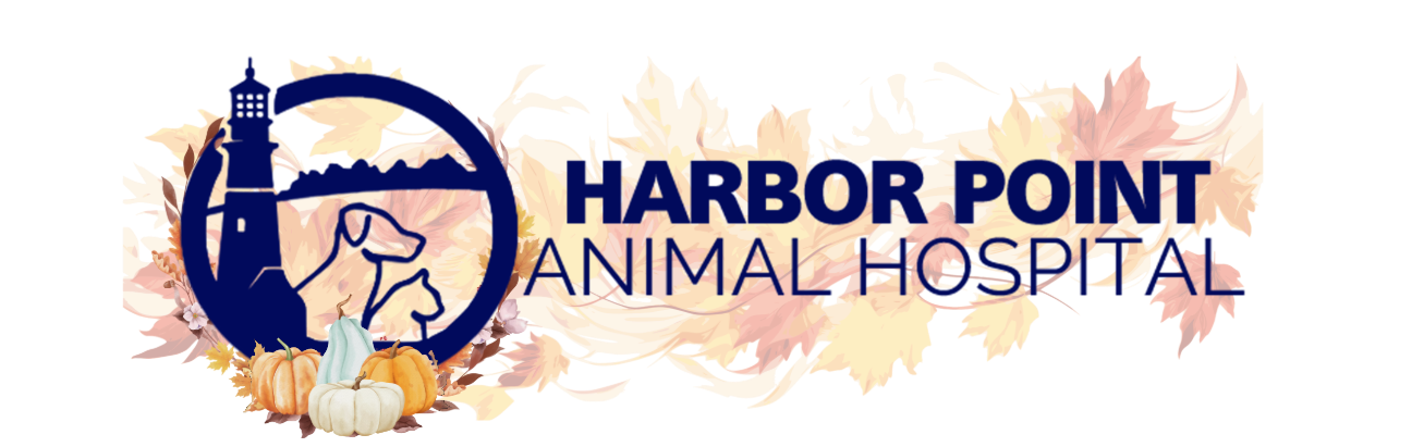 Harbor Point Animal Hospital