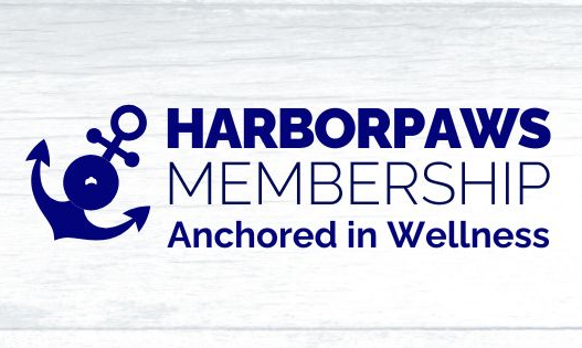 Copy of HarborPaws Membership - Card (Facebook Cover) A woman gently holds a small dog in her arms