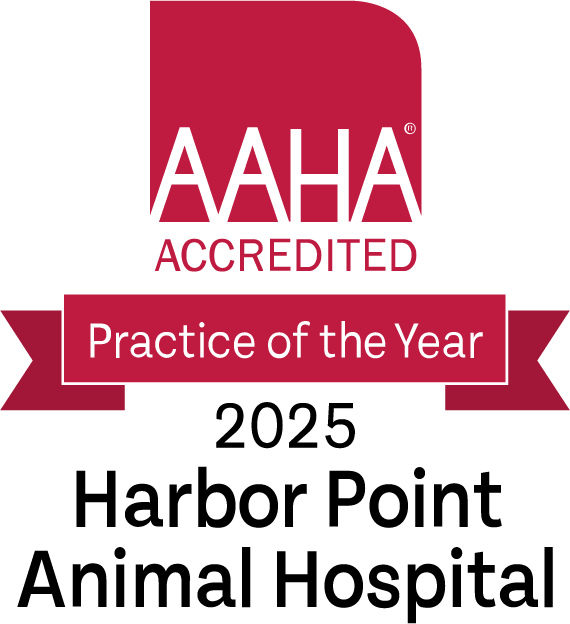 AAHA Accredited Practice of the Year 2025 logo