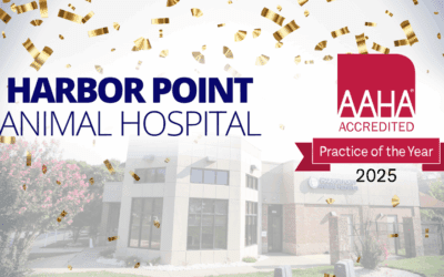 Harbor Point Animal Hospital Named AAHA’s 2025 Accredited Practice of the Year